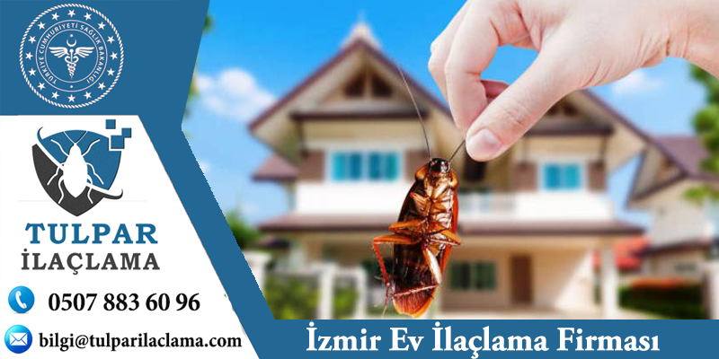 Ev İlaçlama Fiyatları İzmir