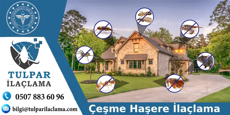 Çeşme profesyonel Böcek ilaçlama hizmetleri.