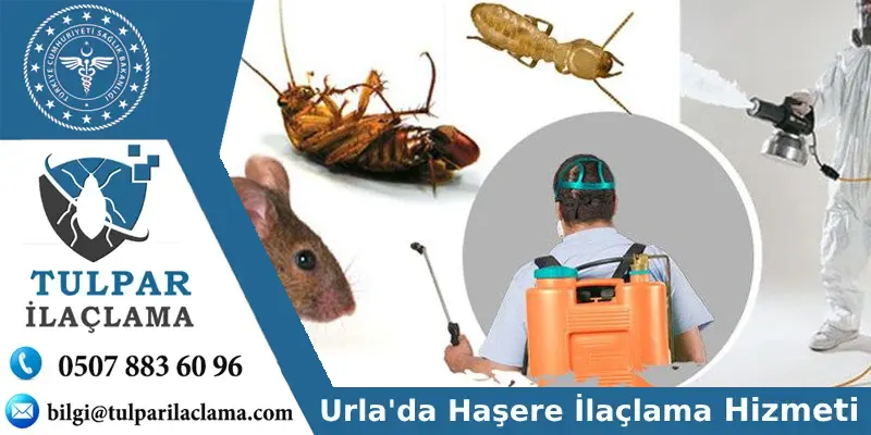 Urla'da Böcek İlaçlama için Profesyonel Çözümler!