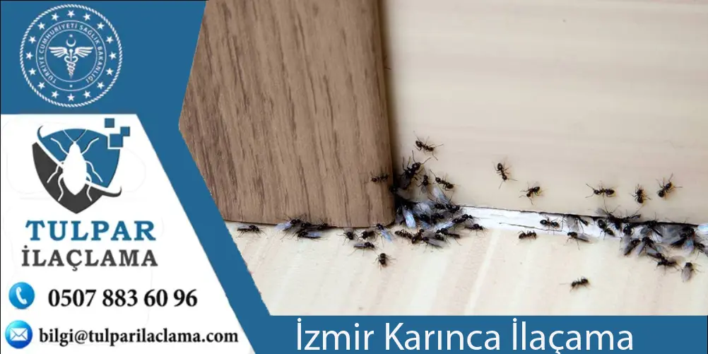 izmir'de karıca ilaçlama