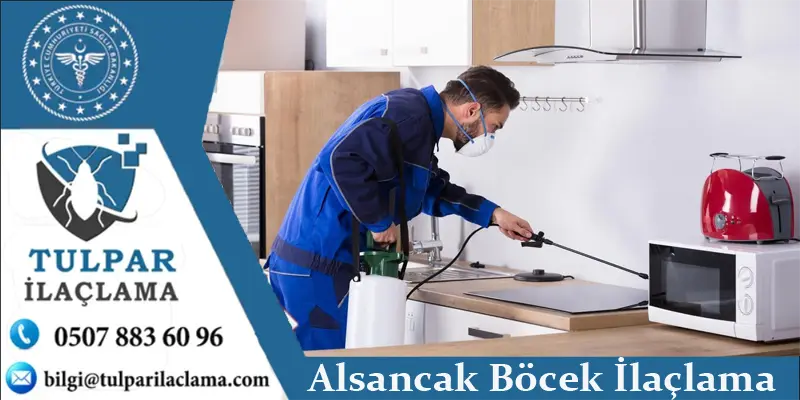 Alsancak'ta profesyonel böcek ilaçlama hizmeti – restoran, otel, apartman ve evlerde kalıcı çözüm