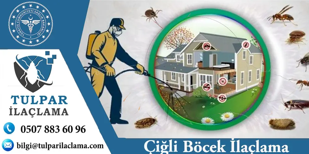 İzmir Çiğli profesyonel böcek ilaçlama hizmeti.