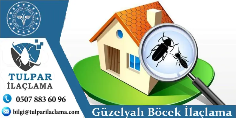 Güzelyalı böcek ilaçlama – Konak, İzmir