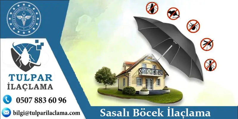 Sasalı böcek ilaçlama hizmeti – ev, villa ve bahçe haşere ilaçlama Çiğli Sasalı İzmir