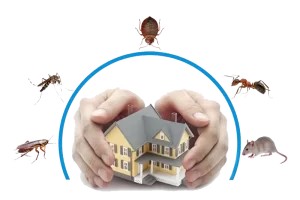 Seferihisar Böcek İlaçlama 2 Seferihisar böcek ilaçlama hizmeti – ev ve apartmanlarda profesyonel haşere kontrol uygulaması