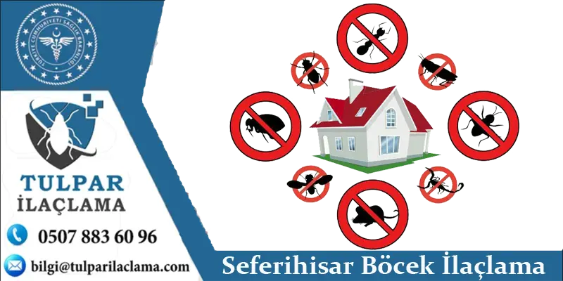Seferihisar Böcek İlaçlama 1 İzmir Seferihisar Böcek ilaçlama